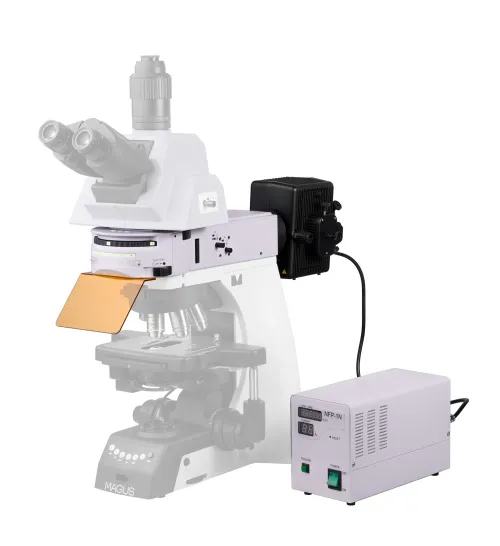 Насадка эпи-люминесцентная MAGUS Epi-FL06, ртутная лампа, блоки люминесцентных фильтров В/G/UV/V/R/FITC/TRITC/DAPI фото