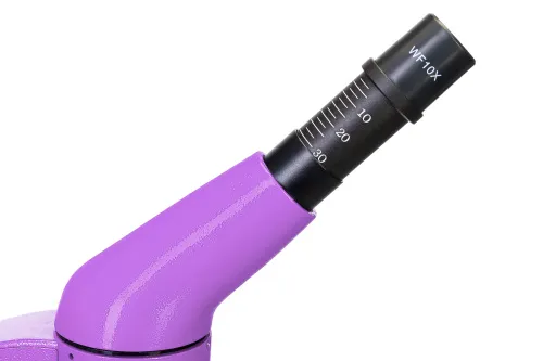 Микроскоп Levenhuk Rainbow 50L фото