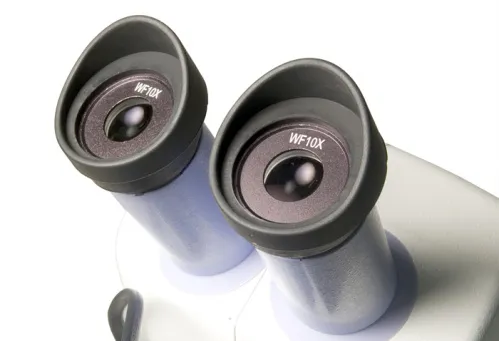 Микроскоп Levenhuk 5ST, бинокулярный изображение