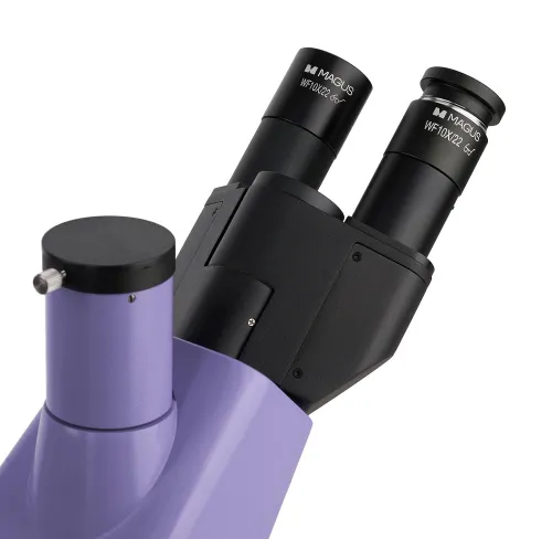 Микроскоп биологический инвертированный цифровой MAGUS Bio VD300 LCD изображение