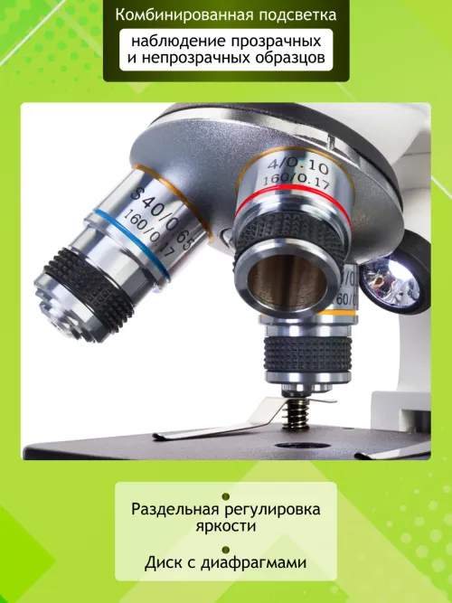 Микроскоп цифровой Levenhuk Discovery Femto Polar с книгой фотография