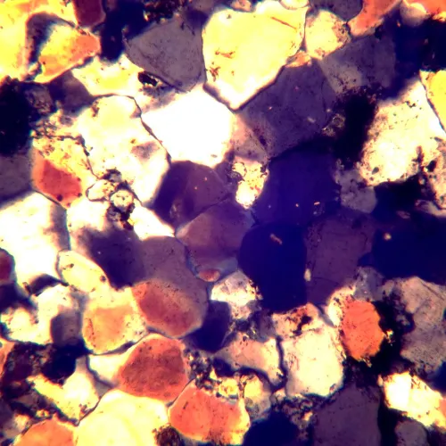 Микроскоп поляризационный MAGUS Pol 850 изображение