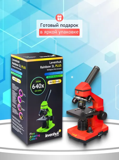 Микроскоп Levenhuk Rainbow 2L PLUS картинка