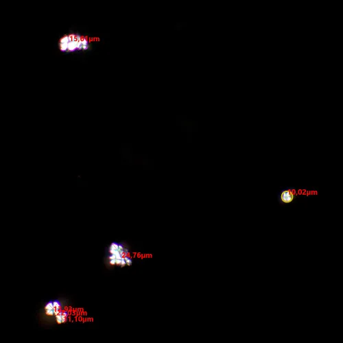 Устройство простой поляризации MAGUS SPD1 фото