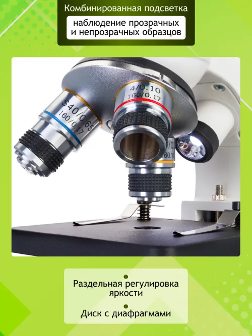 Микроскоп Levenhuk Discovery Femto Polar с книгой изображение