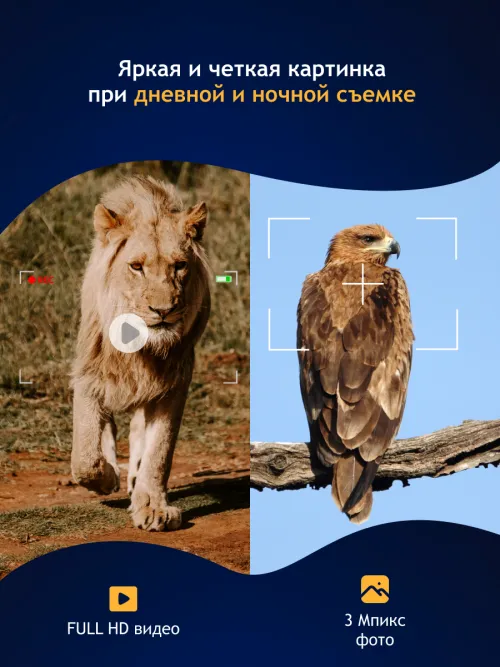 Бинокль цифровой ночного видения Levenhuk Halo 13X фото