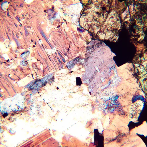 Микроскоп поляризационный цифровой MAGUS Pol D800 фото