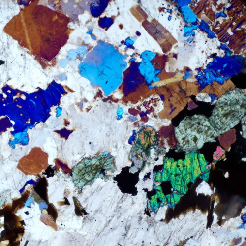 Микроскоп поляризационный MAGUS Pol 800 фотография