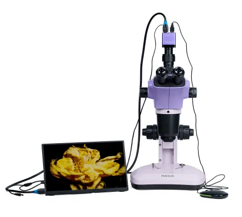 Микроскоп стереоскопический цифровой MAGUS Stereo D9T LCD изображение