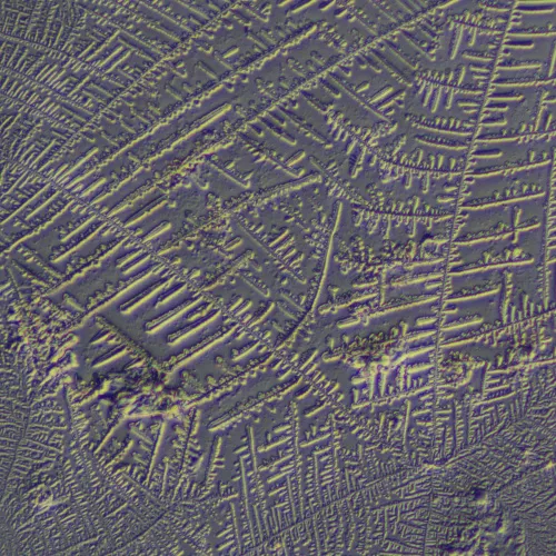 Устройство для работы методом дифференциально-интерференционного контраста (ДИК) MAGUS DIC290 изображение