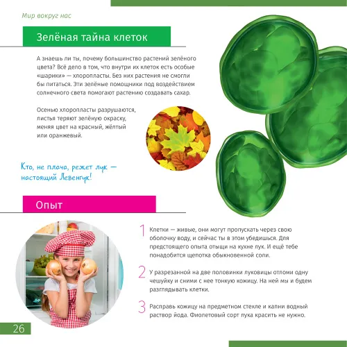 Книга знаний «Невидимый мир». Твердая обложка фото