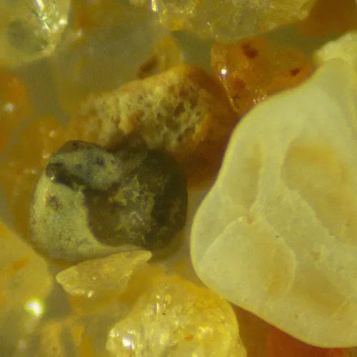 Микроскоп стереоскопический цифровой MAGUS Stereo D9T картинка