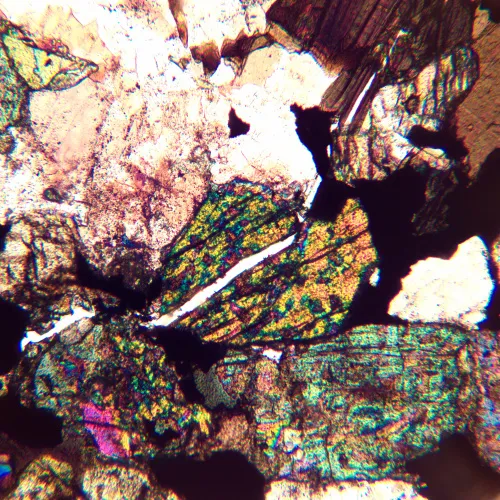 Микроскоп поляризационный MAGUS Pol 890 фото