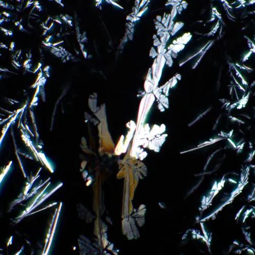 Устройство простой поляризации MAGUS SPD2 картинка