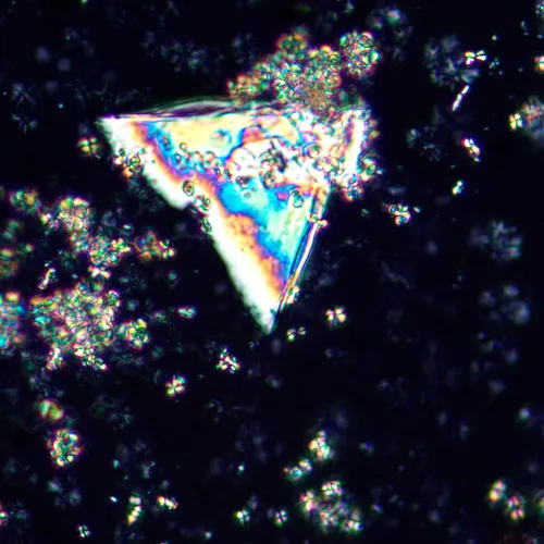 Микроскоп поляризационный цифровой MAGUS Pol D850 LCD фотография