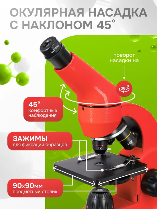 Микроскоп Levenhuk Rainbow 50L PLUS картинка
