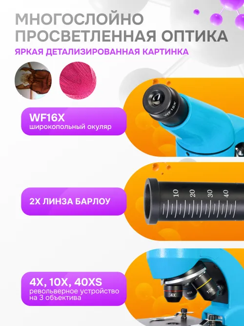 Микроскоп Levenhuk Rainbow 50L PLUS изображение