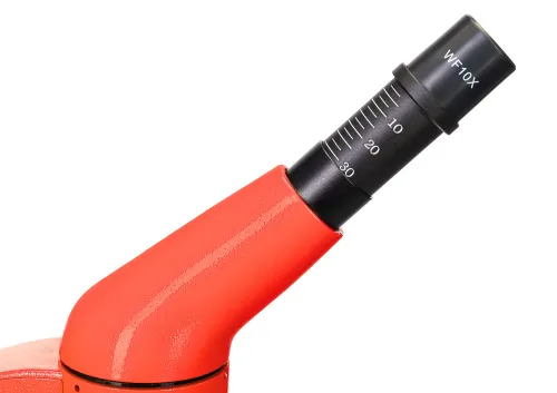 Микроскоп Levenhuk Rainbow 50L фото