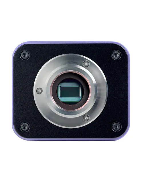 Микроскоп люминесцентный цифровой MAGUS Lum D400 LCD картинка