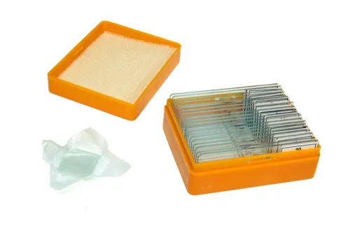 Набор готовых микропрепаратов Levenhuk N20 NG фотография