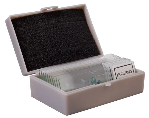 Набор для опытов с микроскопом Levenhuk K50 фото