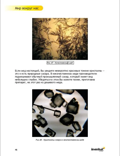 Набор для опытов с микроскопом Levenhuk K50 фото