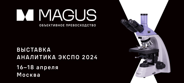 lvnhk_analitika_2024_news.png lvnhk_analitika_2024_news.png