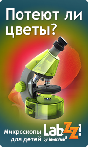 labzz_green_180x300_ru.png