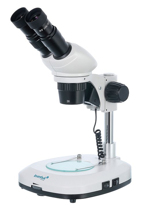 Микроскоп Levenhuk 4ST, бинокулярный картинка